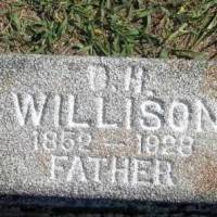 D H WILLISON