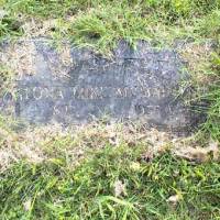Iona MCMAIN