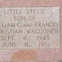 LITTLE STEVIE WAGGONER
